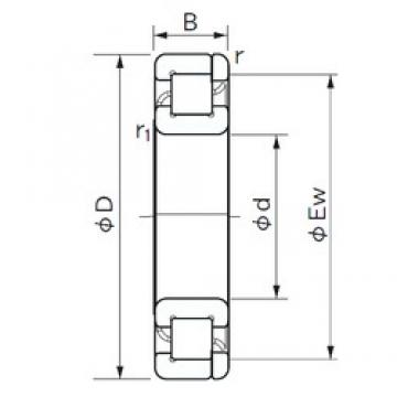 170 mm x 310 mm x 52 mm  NACHI NP 234 цилиндрические роликоподшипники