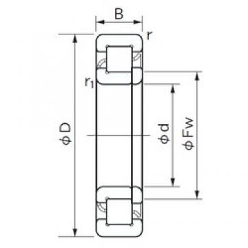 30 mm x 72 mm x 19 mm  NACHI NUP 306 цилиндрические роликоподшипники