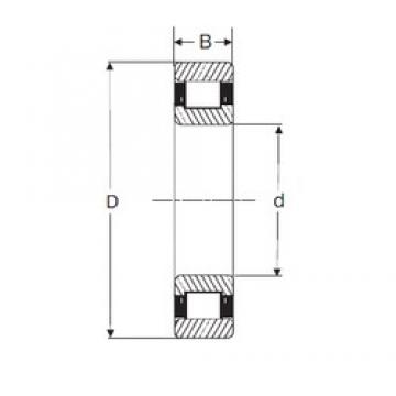 35 mm x 80 mm x 31 mm  SIGMA N 2307 цилиндрические роликоподшипники