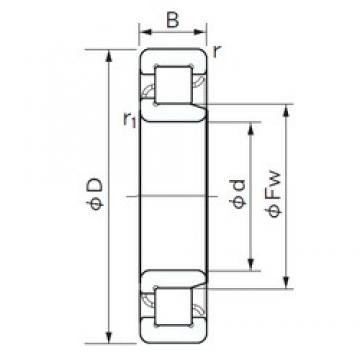 110 mm x 240 mm x 50 mm  NACHI NJ 322 цилиндрические роликоподшипники