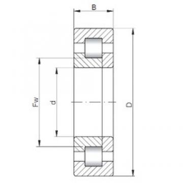 60 mm x 110 mm x 36,5 mm  ISO NUP5212 цилиндрические роликоподшипники