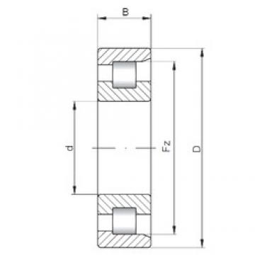 630 mm x 780 mm x 112 mm  ISO NF38/630 цилиндрические роликоподшипники